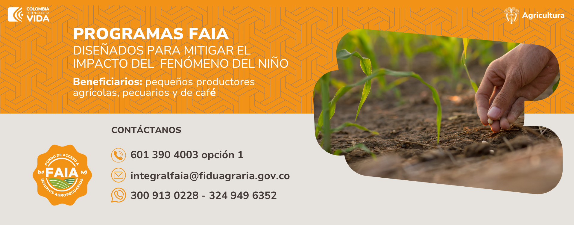 Telefonos-FAIA-Fiduagraria-pequeños-productores.png